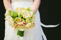 Apricot Tree Wedding Photography and Video 1098179 Image 0